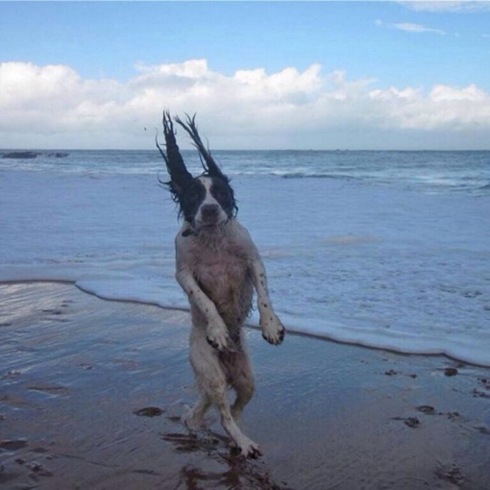 ,    