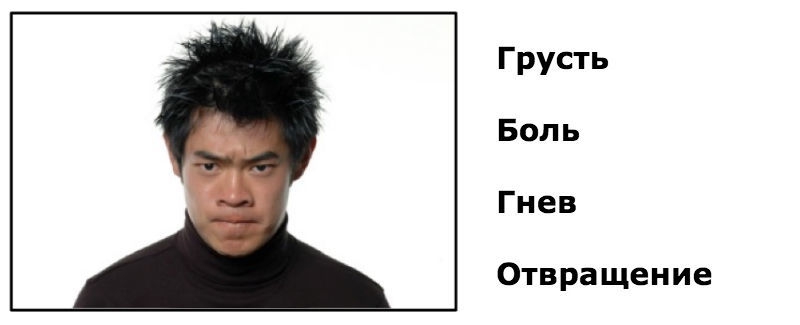 Как распознать эмоции человека по его лицу: Тест для сотрудников финансовых компаний Как распознать эмоции человека по его лицу: Тест для сотрудников финансовых компаний