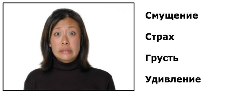 Как распознать эмоции человека по его лицу: Тест для сотрудников финансовых компаний Как распознать эмоции человека по его лицу: Тест для сотрудников финансовых компаний