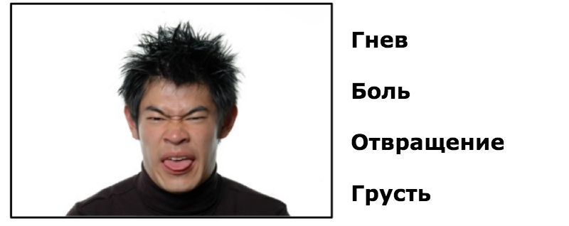 Как распознать эмоции человека по его лицу: Тест для сотрудников финансовых компаний Как распознать эмоции человека по его лицу: Тест для сотрудников финансовых компаний
