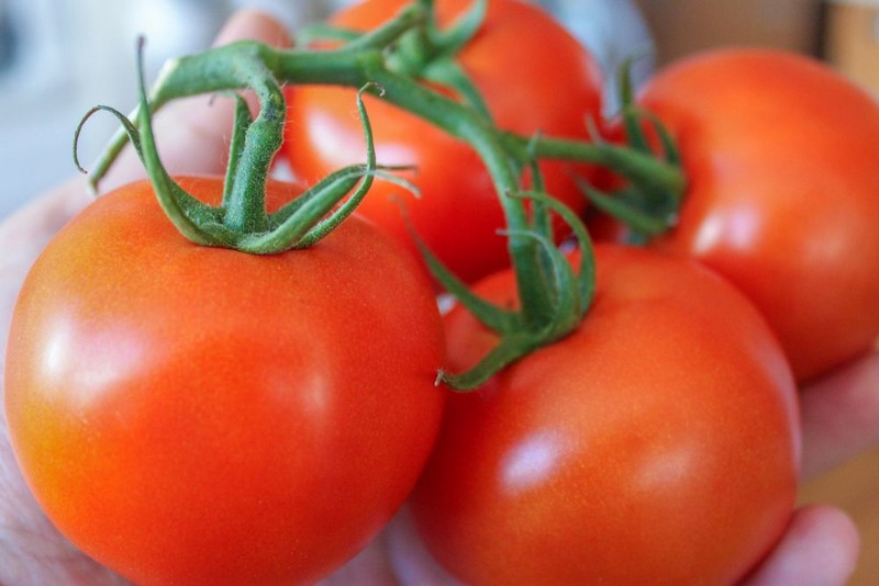 Способы сохранить продукты свежими Способы сохранить продукты свежими