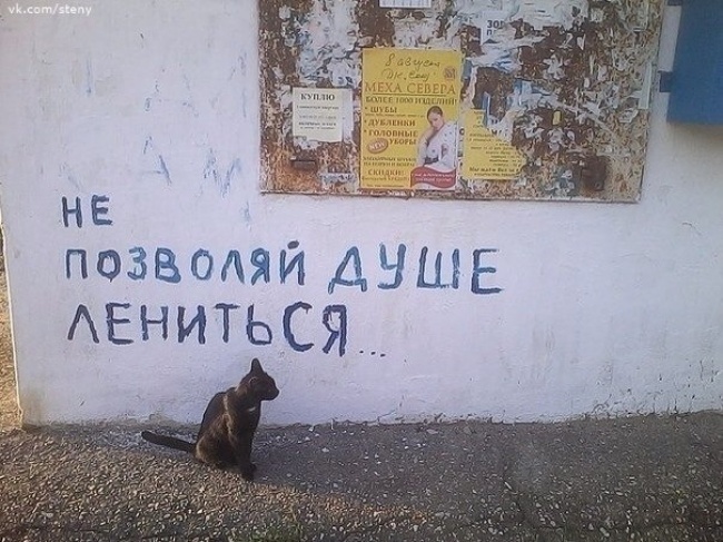 Многосмысленные надписи на стенах и других местах Многосмысленные надписи на стенах и других местах