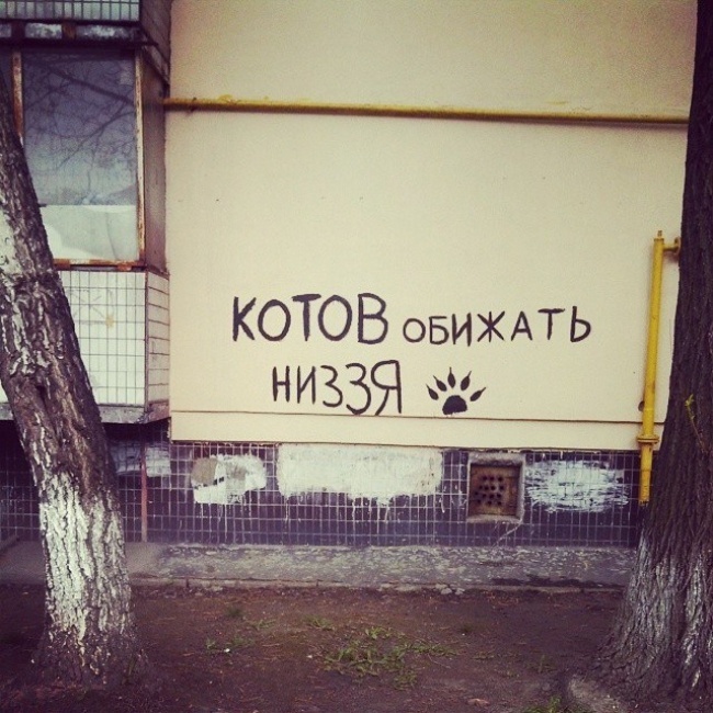 Многосмысленные надписи на стенах и других местах Многосмысленные надписи на стенах и других местах