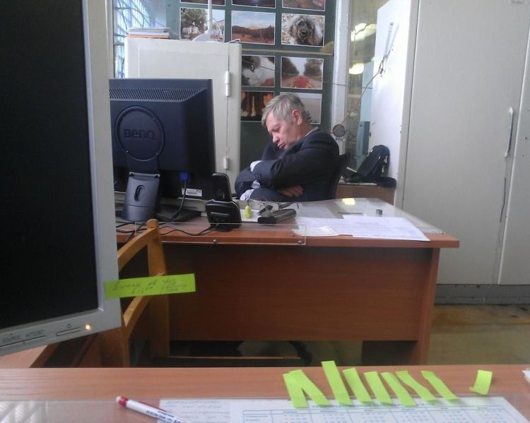 Рабочие будни моего начальника Рабочие будни моего начальника