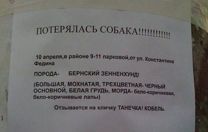 Юмор из объявлений и вывесок на улицах наших городов Юмор из объявлений и вывесок на улицах наших городов