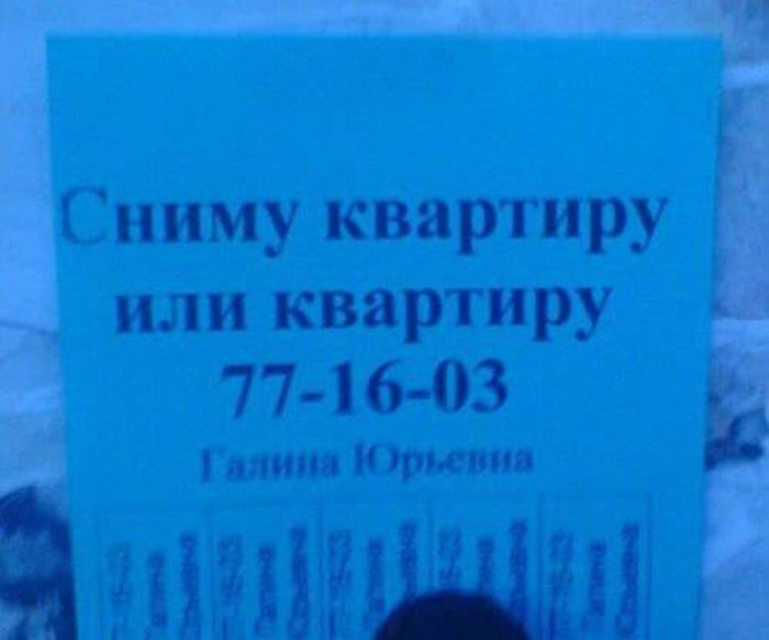 Юмор из объявлений и вывесок на улицах наших городов Юмор из объявлений и вывесок на улицах наших городов