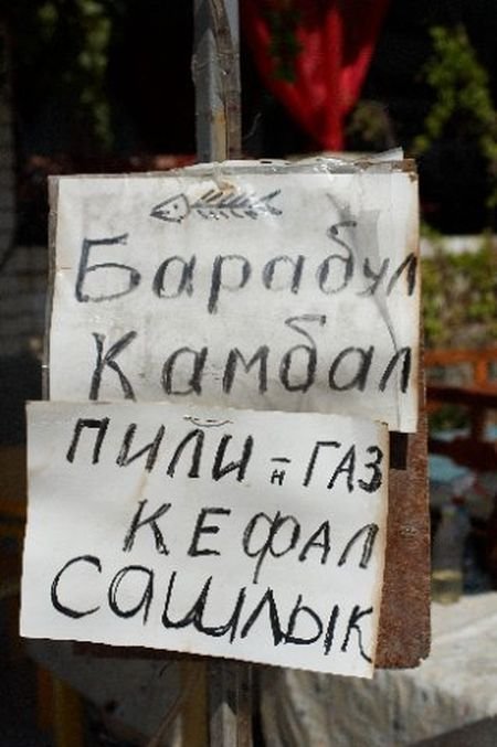 Юмор из объявлений и вывесок на улицах наших городов Юмор из объявлений и вывесок на улицах наших городов