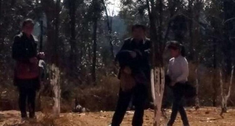 Китайцы до смерти напугали павлинов, делая с ними селфи Китайцы до смерти напугали павлинов, делая с ними селфи