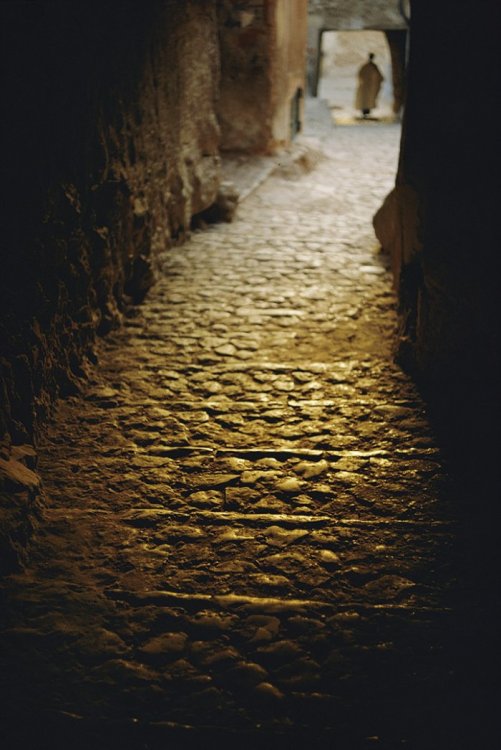 Неопубликованные фото National Geographic Неопубликованные фото National Geographic