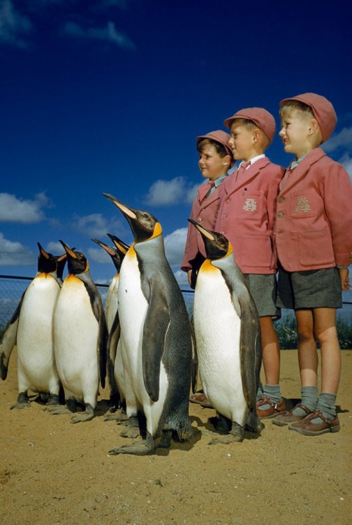 Неопубликованные фото National Geographic Неопубликованные фото National Geographic