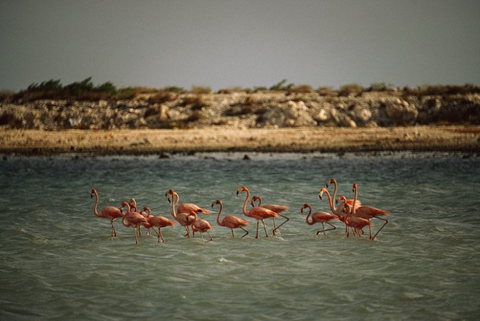 Неопубликованные фото National Geographic Неопубликованные фото National Geographic