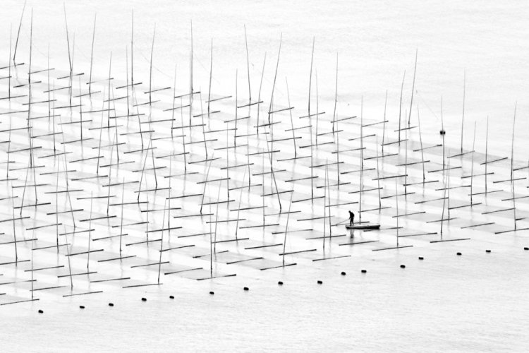 Финалисты престижной фотопремии Sony World Photography Awards 2016 Финалисты престижной фотопремии Sony World Photography Awards 2016