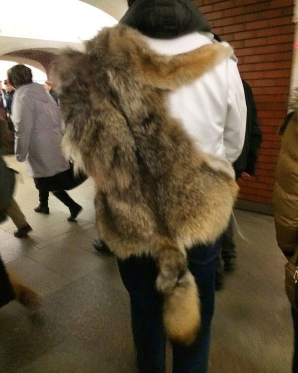 Модные люди в метро: осторожно, здесь может быть ваша фотография! Модные люди в метро: осторожно, здесь может быть ваша фотография!