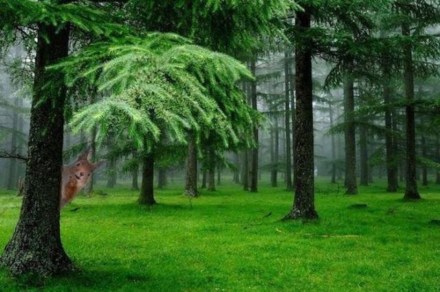 Короткие и любопытные факты обо всем на свете Короткие и любопытные факты обо всем на свете