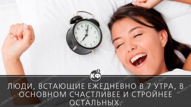 Короткие и любопытные факты обо всем на свете Короткие и любопытные факты обо всем на свете