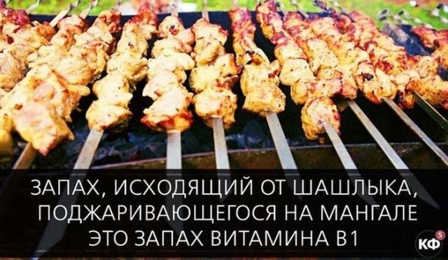 Короткие и любопытные факты обо всем на свете Короткие и любопытные факты обо всем на свете
