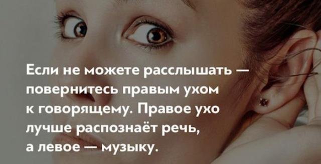 Короткие и любопытные факты обо всем на свете Короткие и любопытные факты обо всем на свете