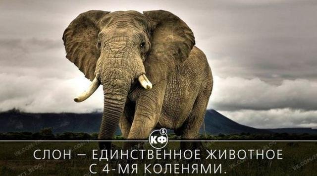 Короткие и любопытные факты обо всем на свете Короткие и любопытные факты обо всем на свете
