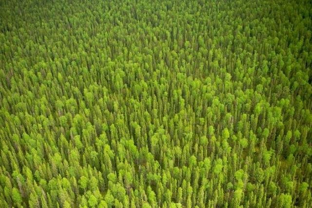 Короткие и любопытные факты обо всем на свете Короткие и любопытные факты обо всем на свете