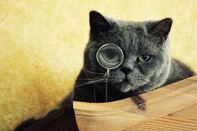 Короткие и любопытные факты обо всем на свете Короткие и любопытные факты обо всем на свете