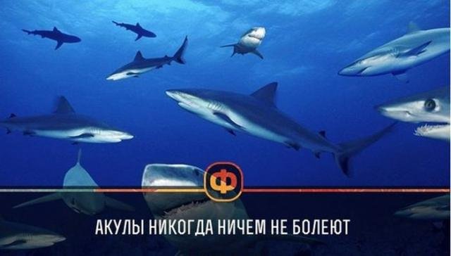 Короткие и любопытные факты обо всем на свете Короткие и любопытные факты обо всем на свете