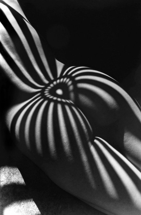 Люсьен Клерг – мастер ню фотографии Люсьен Клерг – мастер ню фотографии