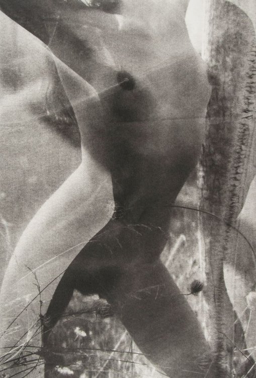 Люсьен Клерг – мастер ню фотографии Люсьен Клерг – мастер ню фотографии