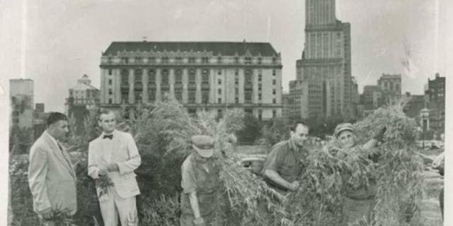 Подборка редких фотографий со всего мира Подборка редких фотографий со всего мира
