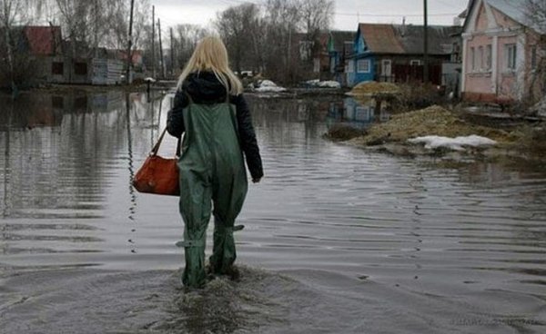 Весна опять пришла (21 фото) Весна опять пришла (21 фото)