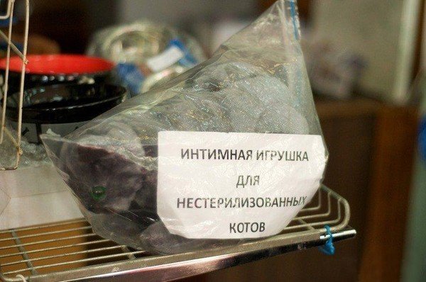 Весна опять пришла (21 фото) Весна опять пришла (21 фото)