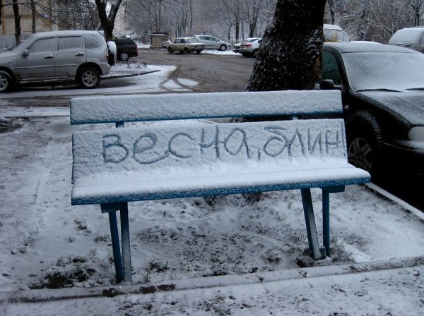 Весна опять пришла (21 фото) Весна опять пришла (21 фото)