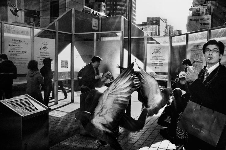 Дух японской столицы в уличных фотографиях Тацуо Сузуки Дух японской столицы в уличных фотографиях Тацуо Сузуки