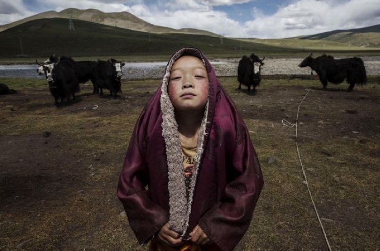 Лучшие снимки международного фотоконкурса Sony World Photography Awards 2016 Лучшие снимки международного фотоконкурса Sony World Photography Awards 2016