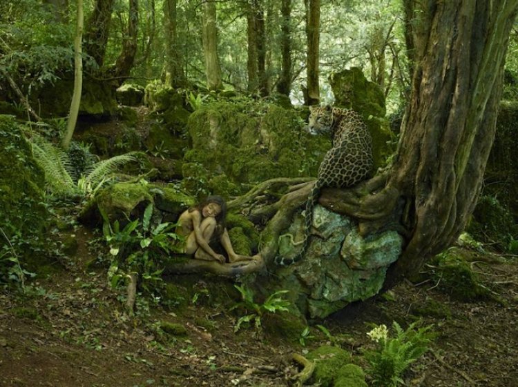 Лучшие снимки международного фотоконкурса Sony World Photography Awards 2016 Лучшие снимки международного фотоконкурса Sony World Photography Awards 2016