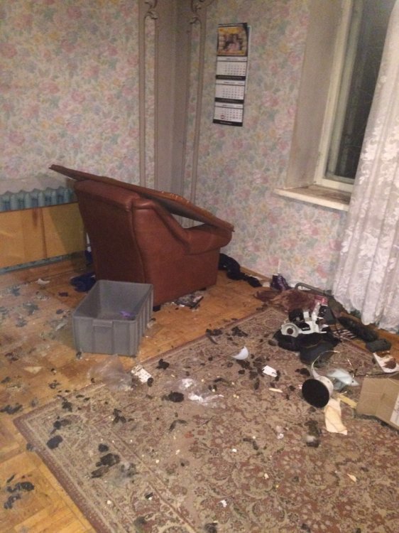 Десятки собак и старая женщина разгромили арендованный коттедж Десятки собак и старая женщина разгромили арендованный коттедж