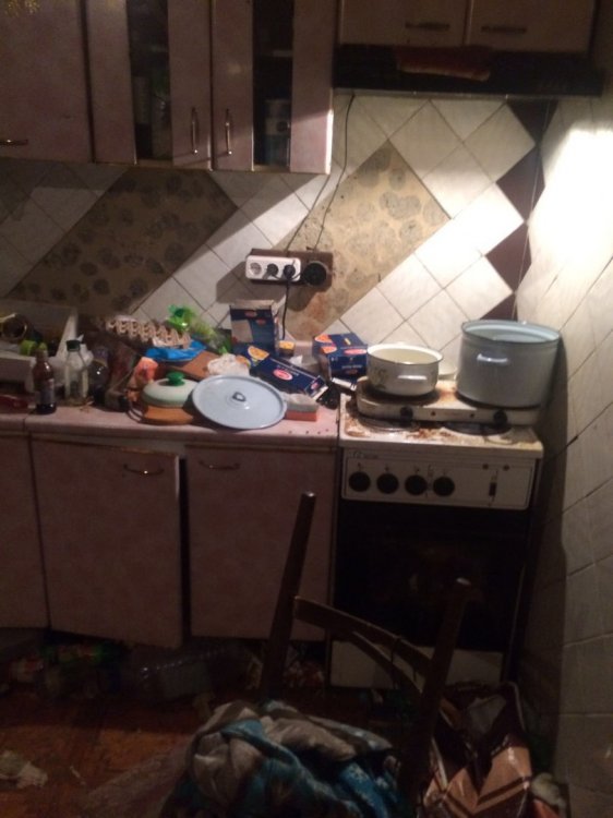 Десятки собак и старая женщина разгромили арендованный коттедж Десятки собак и старая женщина разгромили арендованный коттедж