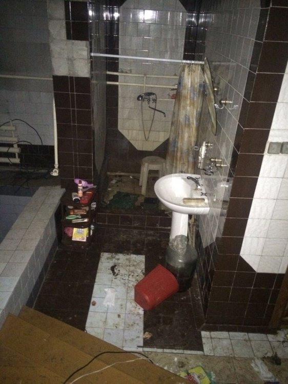 Десятки собак и старая женщина разгромили арендованный коттедж Десятки собак и старая женщина разгромили арендованный коттедж