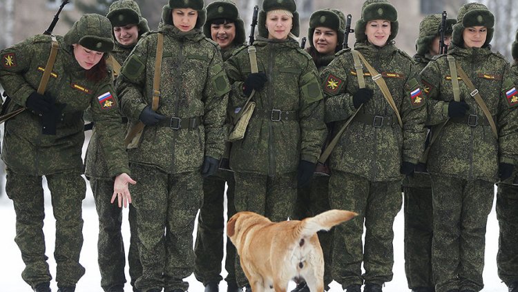 Всероссийский конкурс красоты среди женщин-военнослужащих «Макияж под камуфляж» Всероссийский конкурс красоты среди женщин-военнослужащих «Макияж под камуфляж»