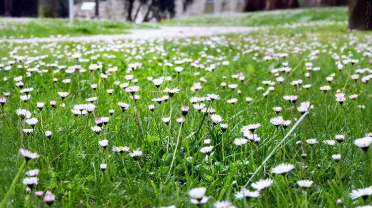 Места, которые созданы для весны Места, которые созданы для весны