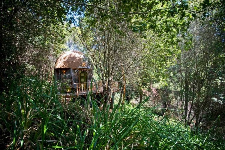 Домик-гриб: самый популярный объект, сдаваемого в аренду на Airbnb Домик-гриб: самый популярный объект, сдаваемого в аренду на Airbnb