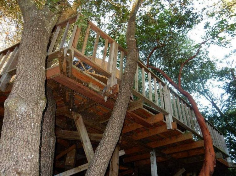Домик-гриб: самый популярный объект, сдаваемого в аренду на Airbnb Домик-гриб: самый популярный объект, сдаваемого в аренду на Airbnb