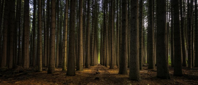 Самые популярные фотографии природы на на 500px Самые популярные фотографии природы на на 500px
