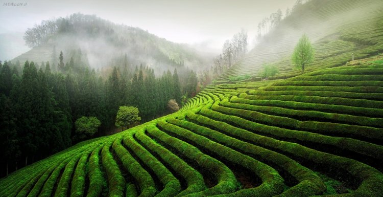 Самые популярные фотографии природы на на 500px Самые популярные фотографии природы на на 500px