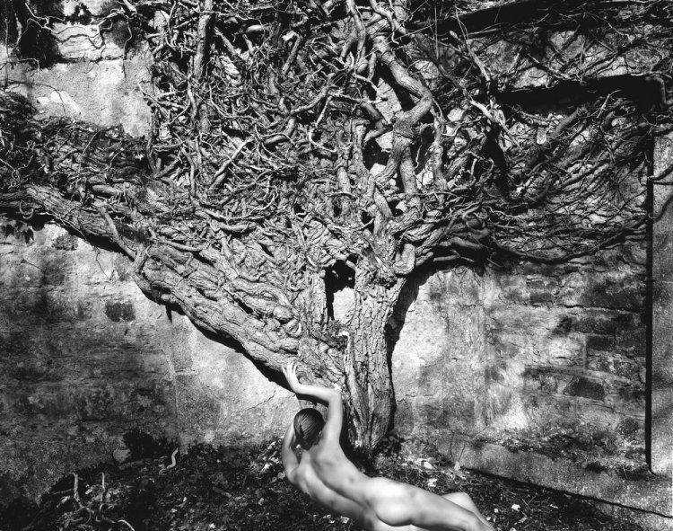 Фото в жанре «ню» придворного фотографа Ее Величества Фото в жанре «ню» придворного фотографа Ее Величества