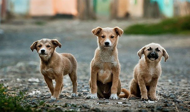 Интересные факты о компьютерах и вычислительной технике Интересные факты о компьютерах и вычислительной технике