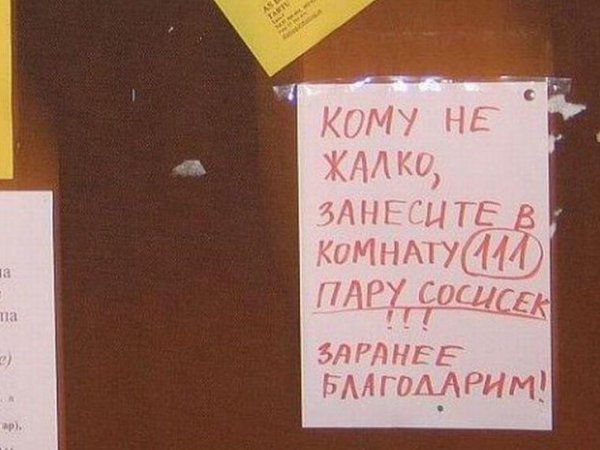 Самые лучшие годы студенческой жизни - это жизнь в студенческой общаге!!! Самые лучшие годы студенческой жизни - это жизнь в студенческой общаге!!!