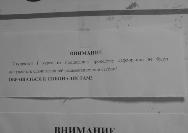 Самые лучшие годы студенческой жизни - это жизнь в студенческой общаге!!! Самые лучшие годы студенческой жизни - это жизнь в студенческой общаге!!!