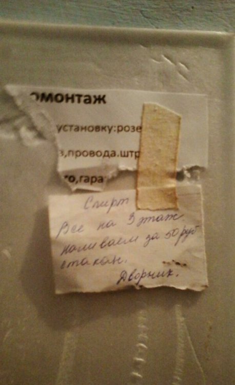 Самые лучшие годы студенческой жизни - это жизнь в студенческой общаге!!! Самые лучшие годы студенческой жизни - это жизнь в студенческой общаге!!!