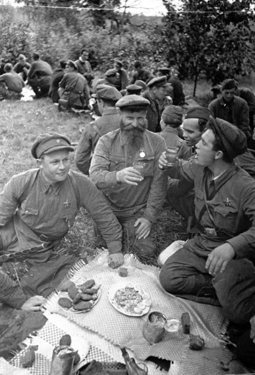Что нужно знать о партизанах Что нужно знать о партизанах