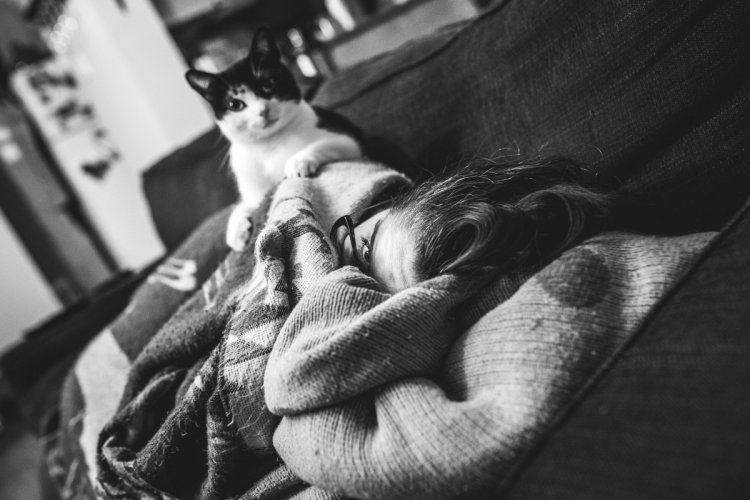 Когда не коты живут у хозяина, а хозяин у котов Когда не коты живут у хозяина, а хозяин у котов